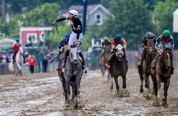 Seize the Grey is targeting the Jim Dandy Stakes