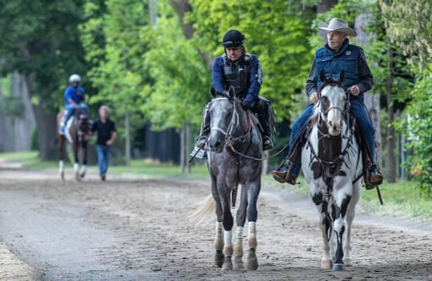 Watch: Lukas sees an improved Seize the Grey for Belmont