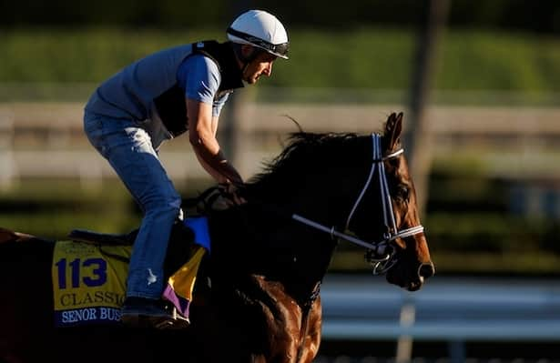 Wednesday works: Señor Buscador leads 10 graded winners