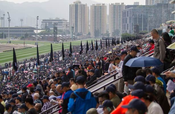 Hong Kong value play: AI points to 11-1 repeat winner