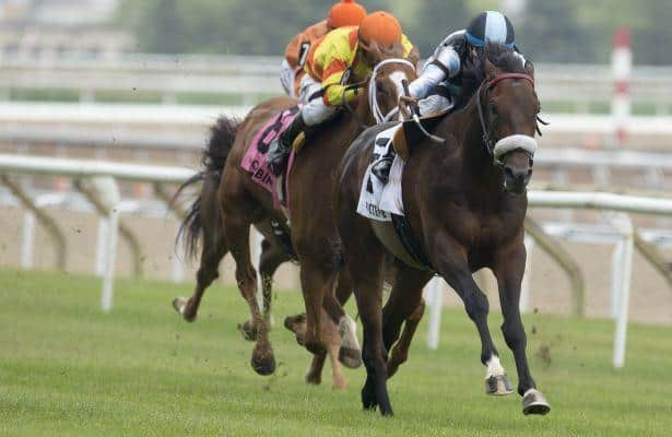 shahroze-rallies-from-last-to-win-woodbine-s-singspiel-stakes