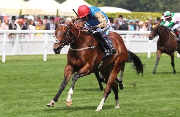 Royal Ascot: Shareholder wins Norfolk, earns Breeders’ Cup slot