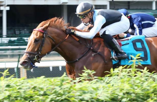 Sharing aces her latest test in Churchill's Tepin Stakes