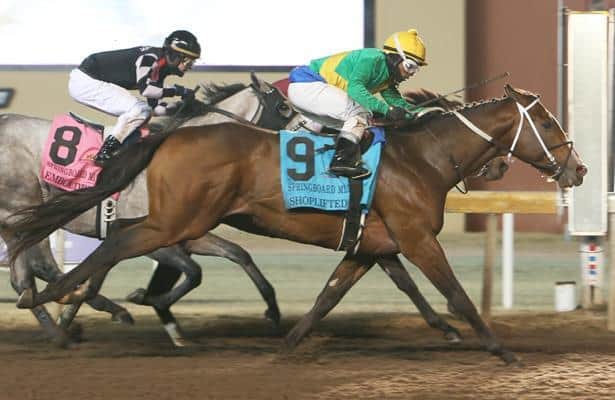 2-year-old pedigrees: How far will Shoplifted go on the Derby trail?