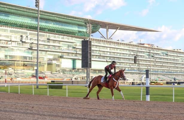 Probable fields are set for Dubai World Cup card