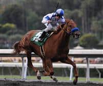 Sidney's Candy takes the 2010 San Felipe