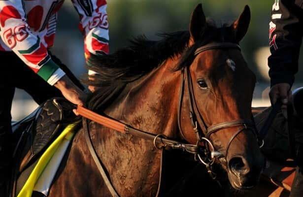 Belmont Stakes 2024 guide: See odds, analysis, PPs