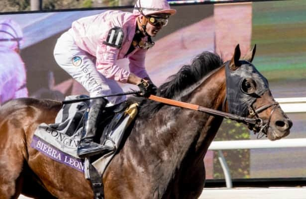 Breeders’ Cup Classic winner Sierra Leone will race at age 4