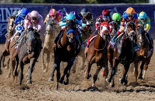 Speed figures 2024: These are the year’s fastest horses