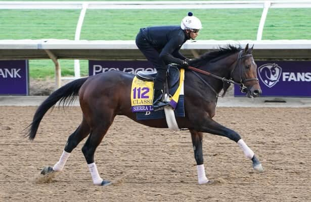 Workouts: Sierra Leone leads 38 graded winners, 1 Derby hope