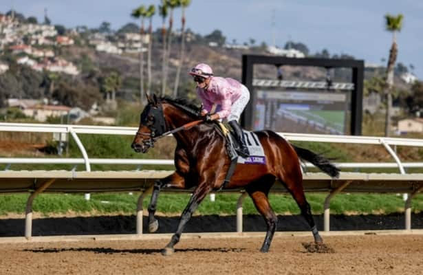 Sierra Leone joins top 10 in world’s best racehorse rankings