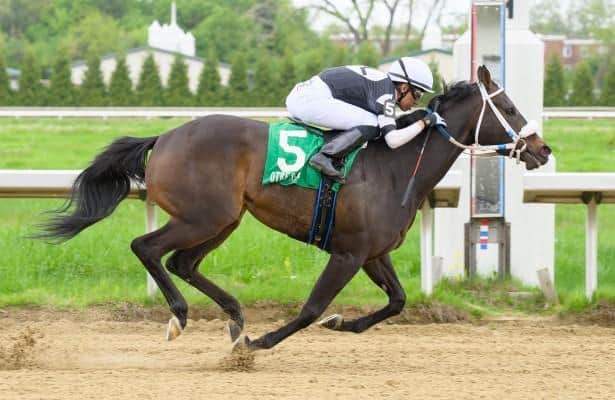 9-for-9 filly Silent Rule sprints Thursday at Thistledown