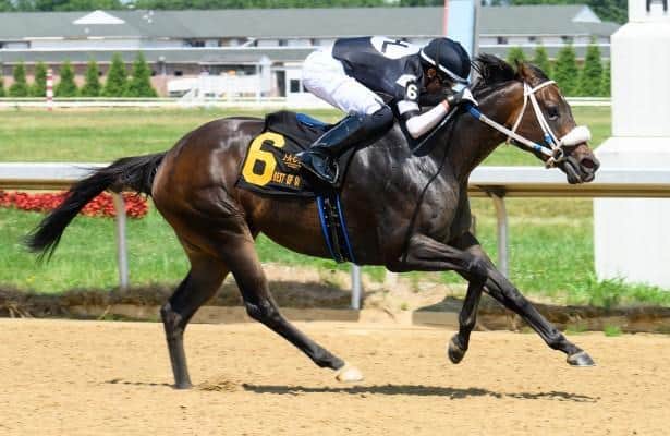 Silent Rule puts her 10-for-10 record on line this weekend
