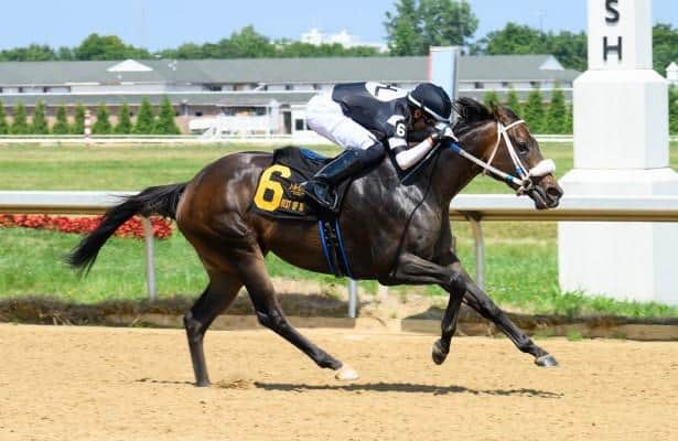 10-for-10 Silent Rule is out of training, might be retired