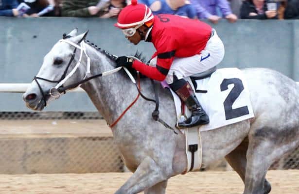 Kentucky Derby 'hope, but not a fever' in Silver Prospector's camp