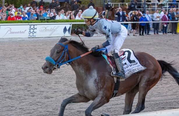 Kentucky Derby pedigree profile: Honor Marie