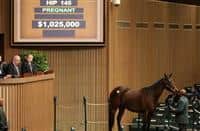 Siren Serenade, in foal to leading sire Tapit, sells for $1,025,000.