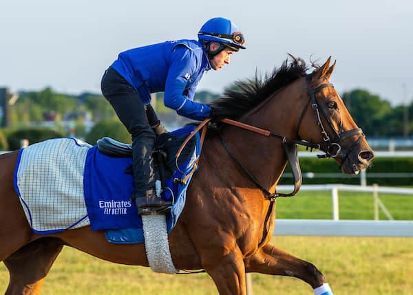 Siskany is looking to defend his title in Belmont Gold Cup