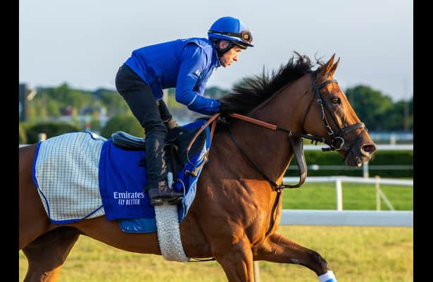 Siskany is looking to defend his title in Belmont Gold Cup