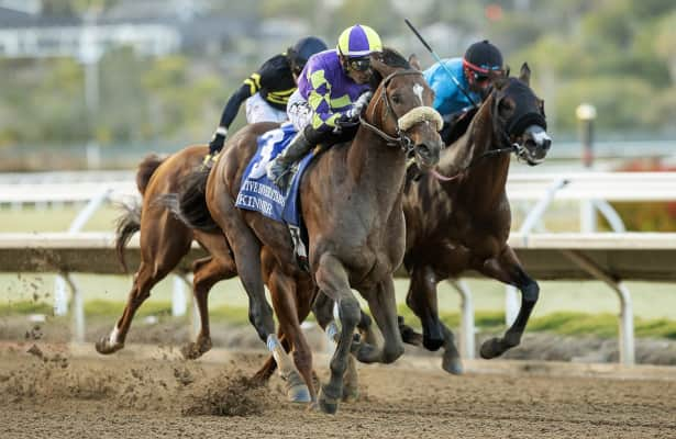 Skinner carves out a victory in Native Diver at Del Mar