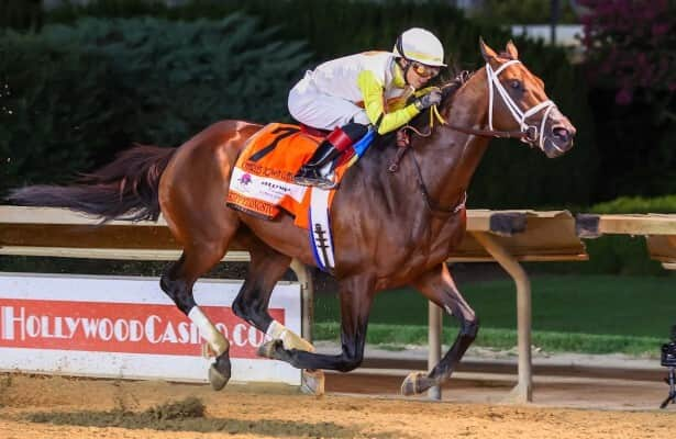 Skippylongstocking pursues more graded glory in Woodward