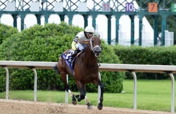 Workouts: Skippylongstocking leads 17 graded winners on tab