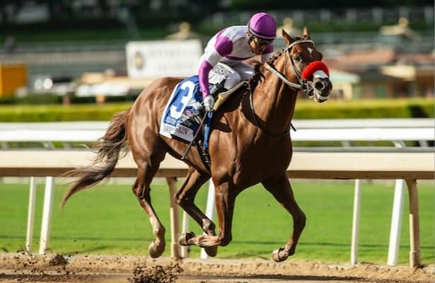 Can a 3-year-old become Breeders' Cup Classic favorite? - Horse Racing  Nation