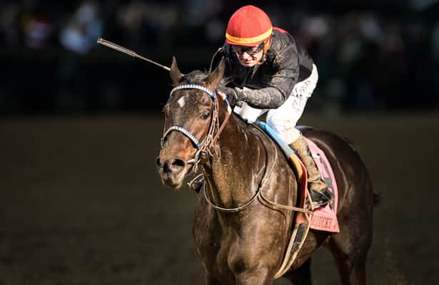 What's next for McPeek's 4 Kentucky Derby contenders?