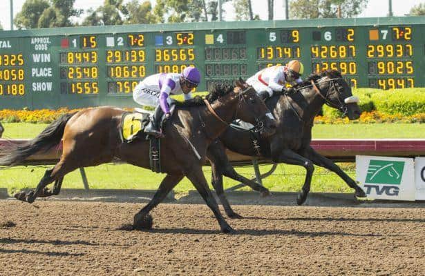 10-year-old Soi Phet a millionaire with Bertrando Stakes win