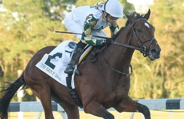 Sole Volante is a go in Belmont Stakes, Biancone confirms