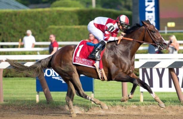 2017 Belmont Stakes Contenders