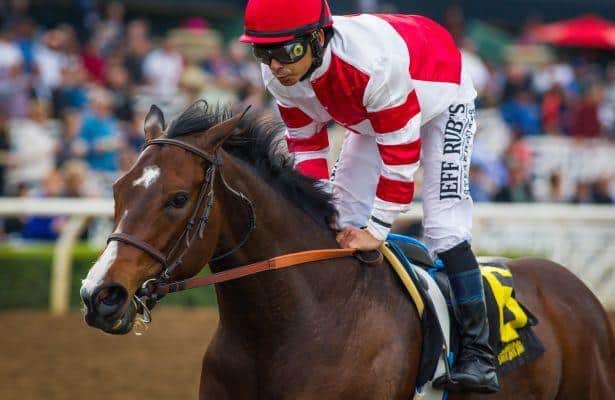 Breeders' Cup Distaff 2016 barn notes for November 3
