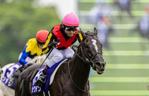 Horses to Watch: Japan star joins the list after another G1 win