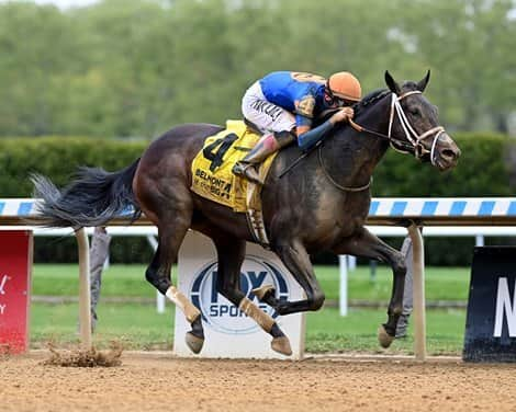 Report: Soul of an Angel is latest U.S. horse to skip Saudi Cup