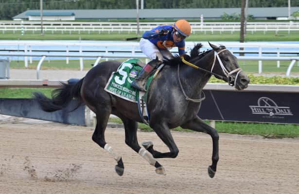 Soul of an Angel comes from the clouds to win Princess Rooney