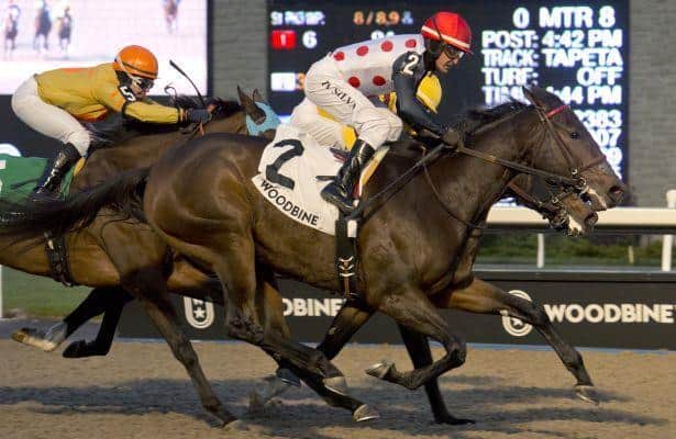 Casse wins eighth Glorious Song Stakes with Souper Charlotte