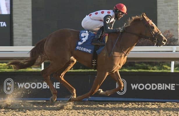 Casse could add an eighth horse to Breeders' Cup string