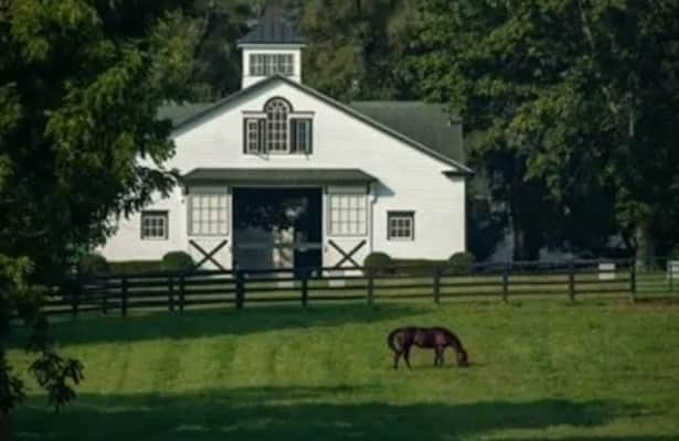 Kentucky breeders get record  million through incentive fund