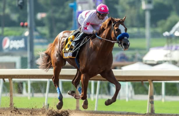 Horses to Watch: Impressive performances add 2 to list