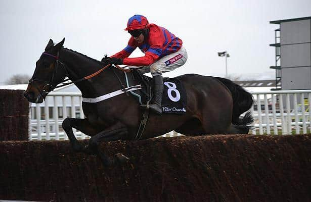 Sire de Grugy stars as Sprinter Sacre pulls up