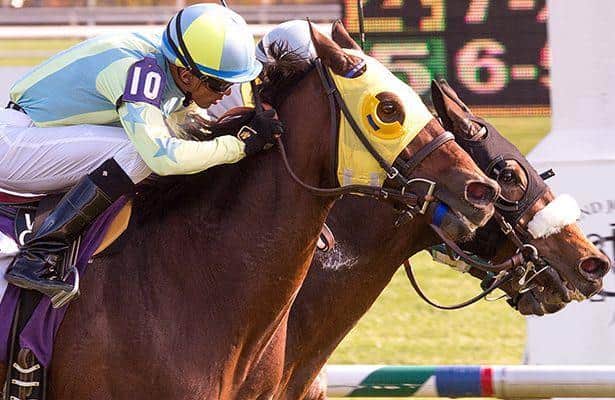 St. Albans Boy Holds Off Perfect Title in Laurel Turf Cup