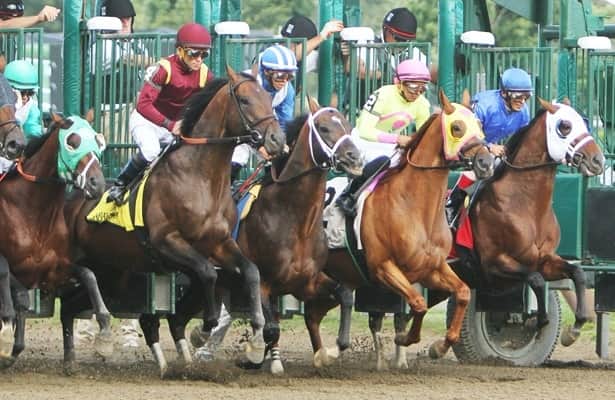 Speed figures: These are last week's fastest stakes winners