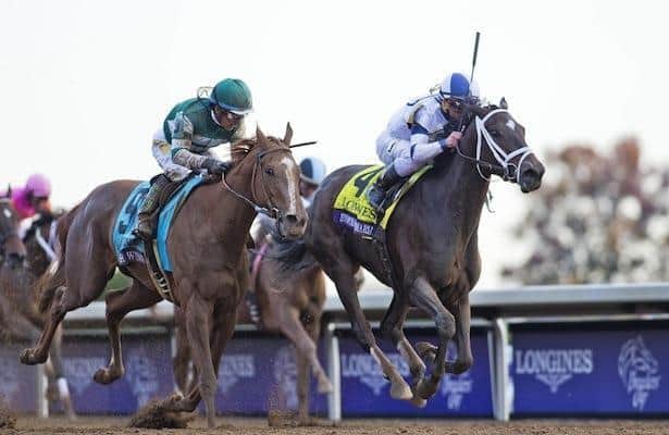 Celebrating the Best of the Breeders’ Cup Non-Winners