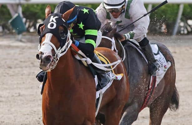 Horak: Saturday's 4 Gulfstream Park stakes horses to bet