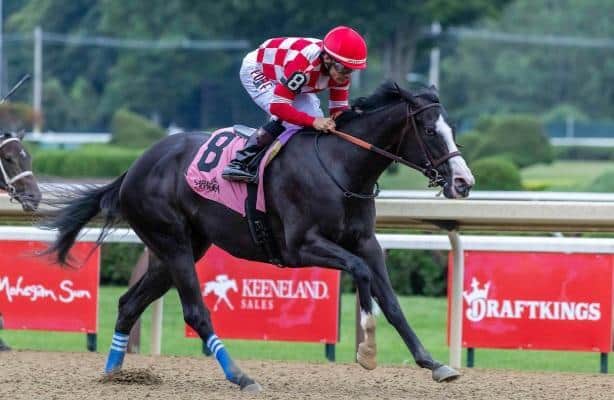 Super Screener: A nice price awaits in the Spinaway