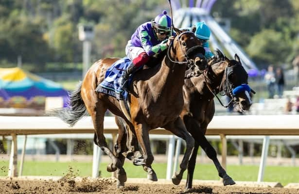 Report: Stronghold will bypass Breeders’ Cup, return in Malibu