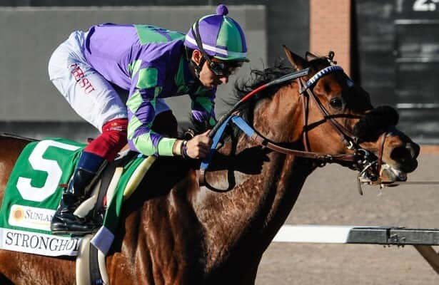 Report: Stronghold will race in Dirt Mile at Breeders’ Cup