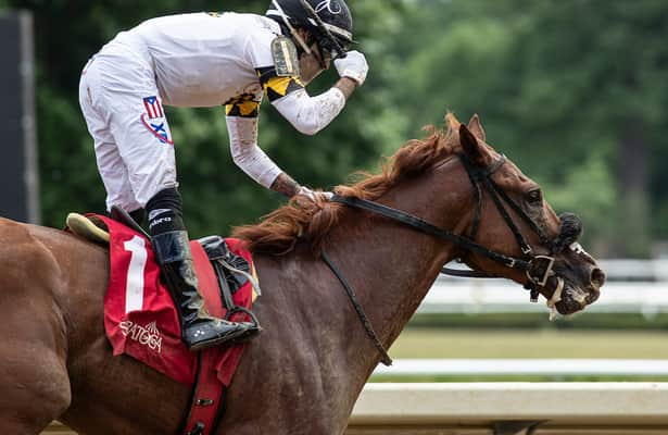 Head to Head: Studlydoright is a standout in Remsen