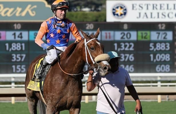 Thursday works: 15 graded-stakes winners are on the tab