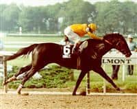 1984 Belmont Stakes